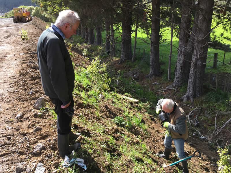 Native shrub planting on landfill